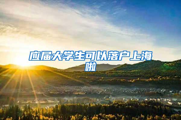 应届大学生可以落户上海啦