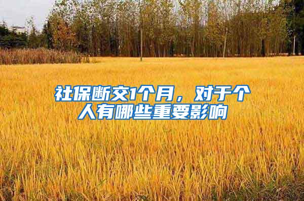 社保断交1个月，对于个人有哪些重要影响