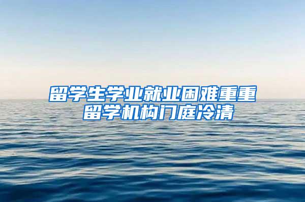 留学生学业就业困难重重 留学机构门庭冷清
