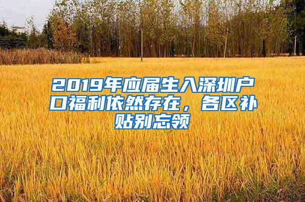 2019年应届生入深圳户口福利依然存在，各区补贴别忘领