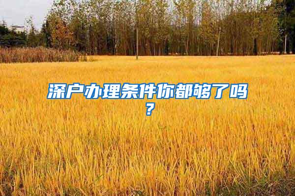 深户办理条件你都够了吗？