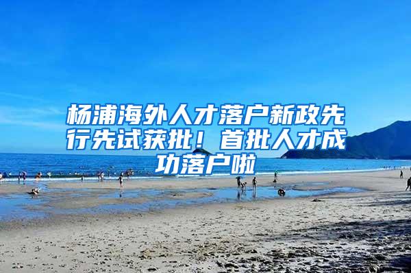 杨浦海外人才落户新政先行先试获批！首批人才成功落户啦