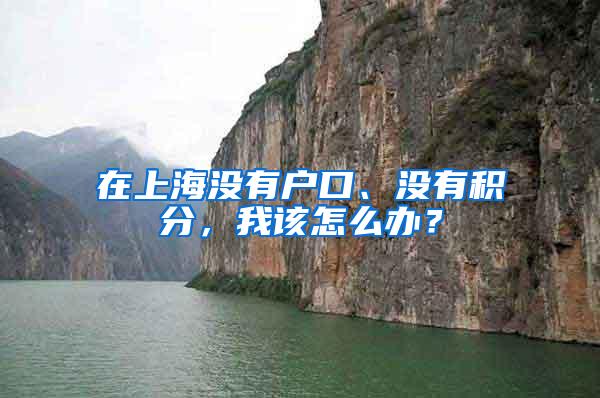 在上海没有户口、没有积分，我该怎么办？