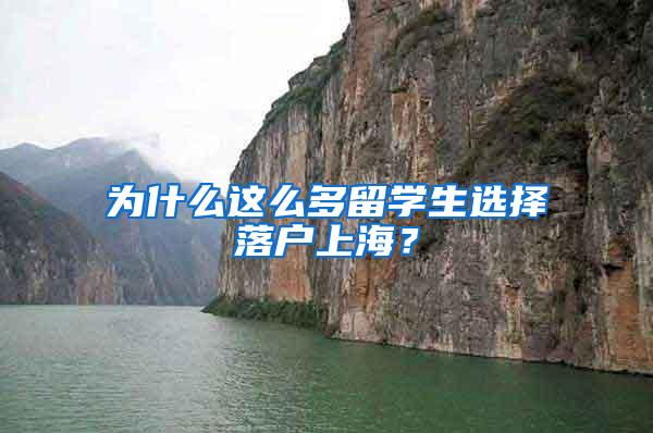为什么这么多留学生选择落户上海?