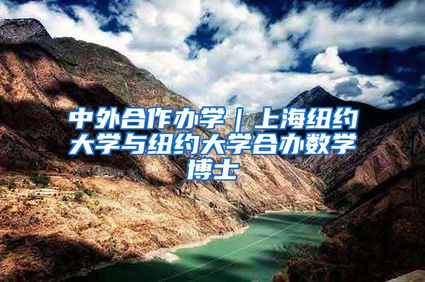 中外合作办学|上海纽约大学与纽约大学合办数学博士