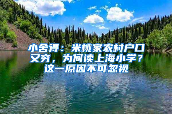小舍得：米桃家农村户口又穷，为何读上海小学？这一原因不可忽视