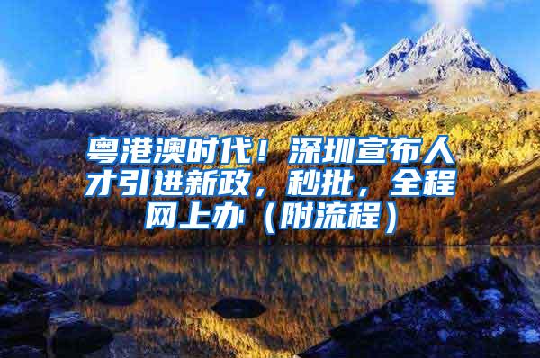 粤港澳时代！深圳宣布人才引进新政，秒批，全程网上办（附流程）