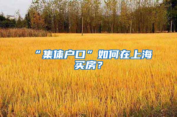 “集体户口”如何在上海买房？