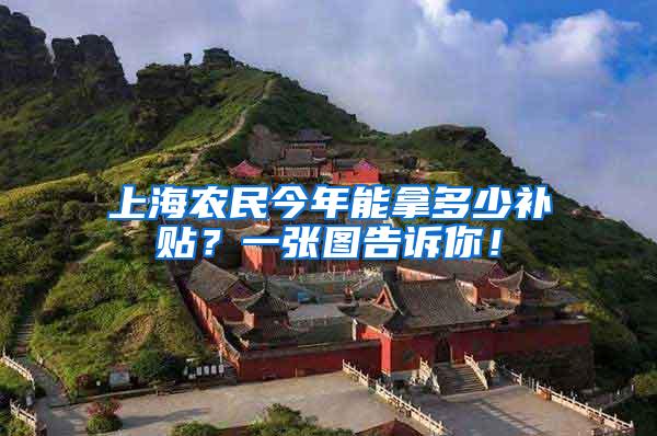 上海农民今年能拿多少补贴?一张图告诉你!