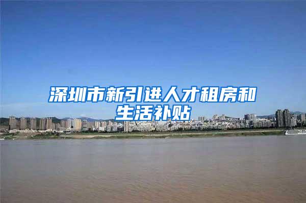 深圳市新引进人才租房和生活补贴