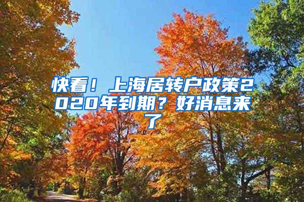 快看！上海居转户政策2020年到期？好消息来了