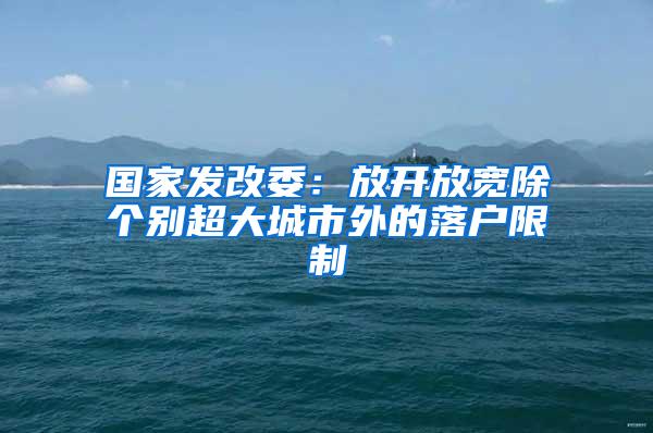 国家发改委:放开放宽除个别超大城市外的落户限制