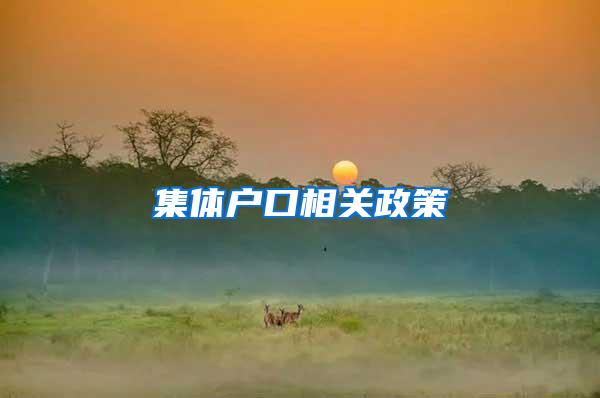 集体户口相关政策
