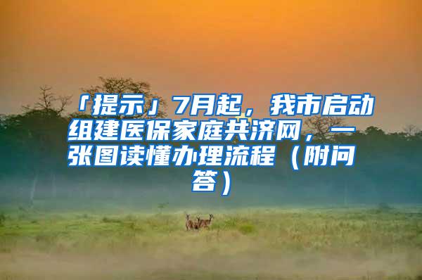 「提示」7月起,我市启动组建医保家庭共济网,一张图读懂办理流程(附问答)