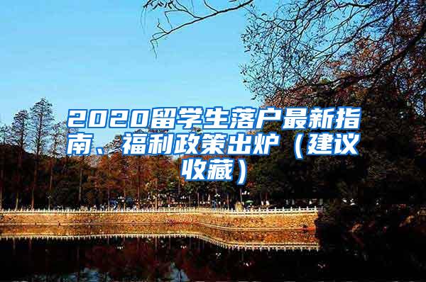 2020留学生落户最新指南、福利政策出炉（建议收藏）