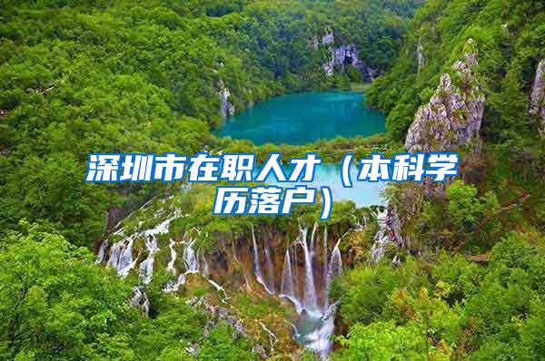 深圳市在职人才(本科学历落户)