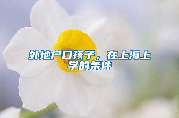外地户口孩子,在上海上学的条件
