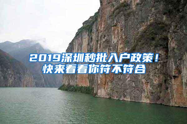 2019深圳秒批入户政策！快来看看你符不符合