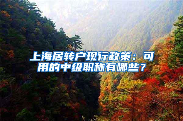 上海居转户现行政策:可用的中级职称有哪些?