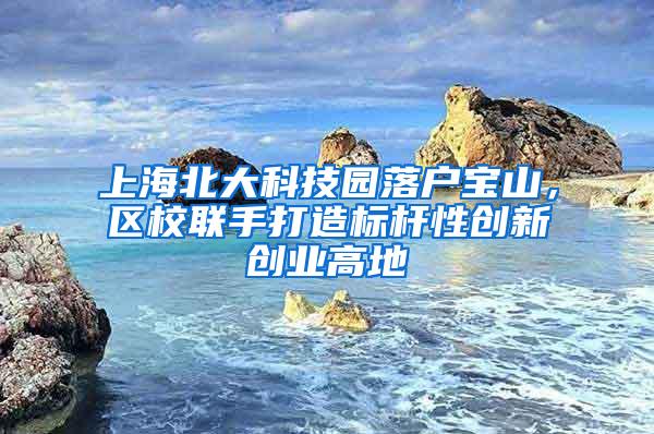上海北大科技园落户宝山,区校联手打造标杆性创新创业高地