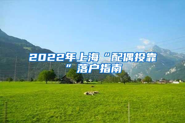 2022年上海“配偶投靠”落户指南