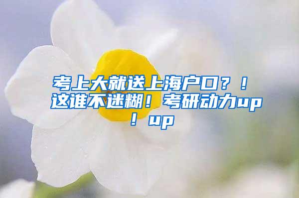 考上大就送上海户口？！这谁不迷糊！考研动力up！up