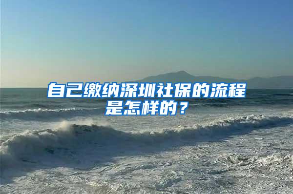 自己缴纳深圳社保的流程是怎样的?