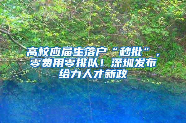 高校应届生落户“秒批”，零费用零排队！深圳发布给力人才新政