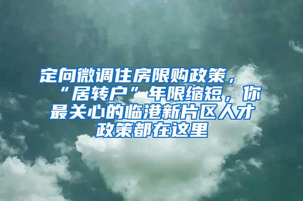 定向微调住房限购政策，“居转户”年限缩短，你最关心的临港新片区人才政策都在这里