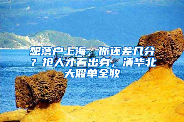 想落户上海，你还差几分？抢人才看出身，清华北大照单全收