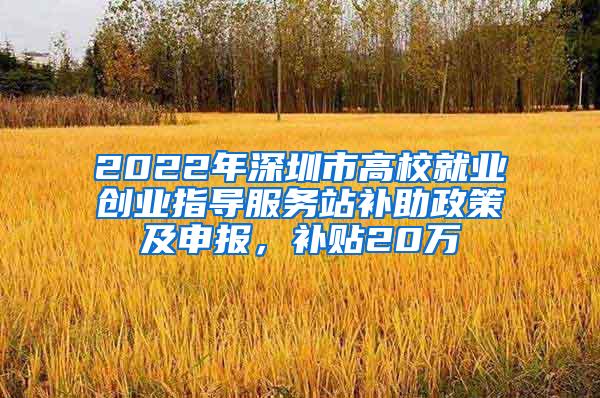 2022年深圳市高校就业创业指导服务站补助政策及申报,补贴20万
