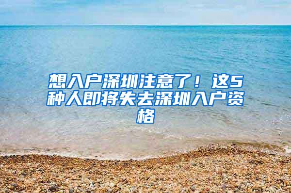 想入户深圳注意了！这5种人即将失去深圳入户资格