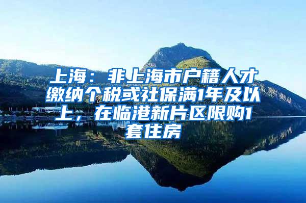 上海:非上海市户籍人才缴纳个税或社保满1年及以上,在临港新片区限购1套住房