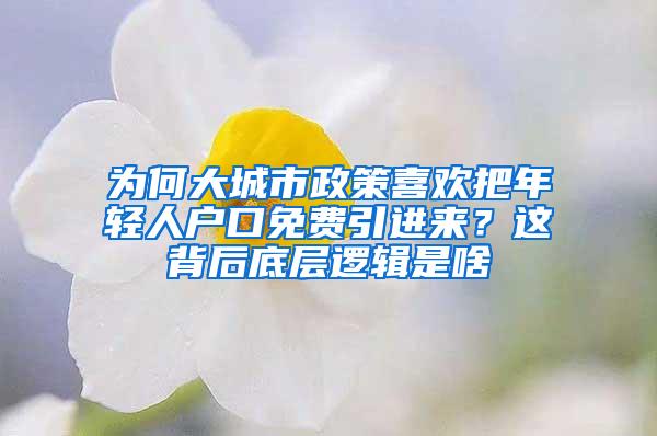 为何大城市政策喜欢把年轻人户口免费引进来？这背后底层逻辑是啥