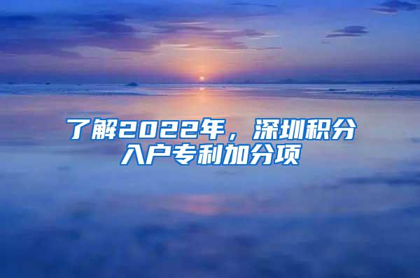 了解2022年，深圳积分入户专利加分项