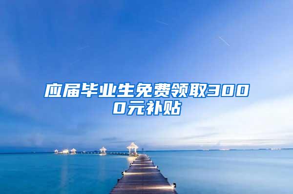 应届毕业生免费领取3000元补贴