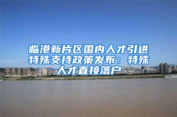 临港新片区国内人才引进特殊支持政策发布:特殊人才直接落户