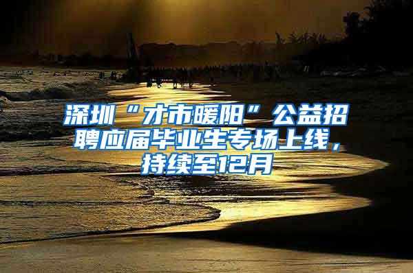 深圳“才市暖阳”公益招聘应届毕业生专场上线，持续至12月