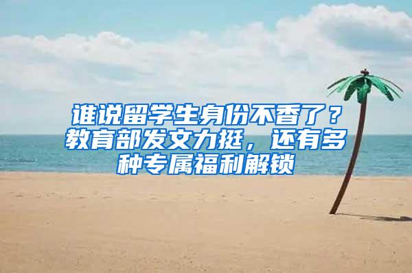 谁说留学生身份不香了？教育部发文力挺，还有多种专属福利解锁