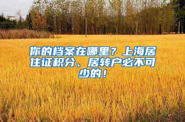 你的档案在哪里？上海居住证积分、居转户必不可少的！