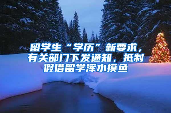 留学生“学历”新要求，有关部门下发通知，抵制假借留学浑水摸鱼
