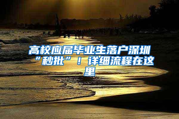 高校应届毕业生落户深圳“秒批”！详细流程在这里