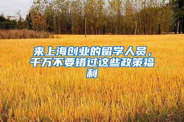 来上海创业的留学人员，千万不要错过这些政策福利