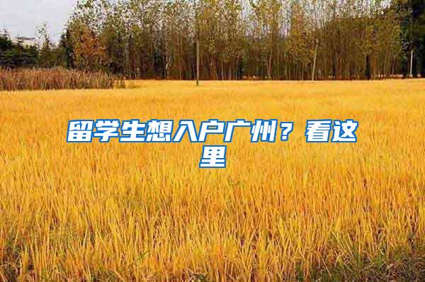留学生想入户广州？看这里
