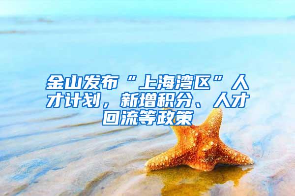 金山发布“上海湾区”人才计划，新增积分、人才回流等政策