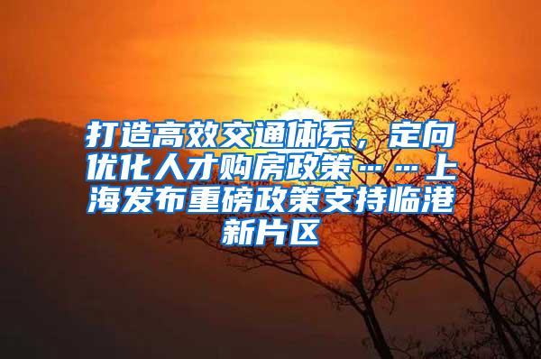 打造高效交通体系，定向优化人才购房政策……上海发布重磅政策支持临港新片区
