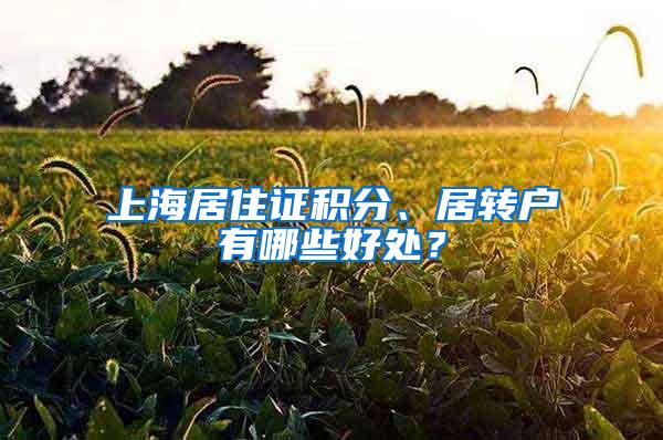 上海居住证积分、居转户有哪些好处？