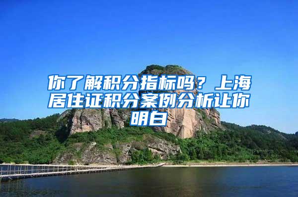 你了解积分指标吗？上海居住证积分案例分析让你明白