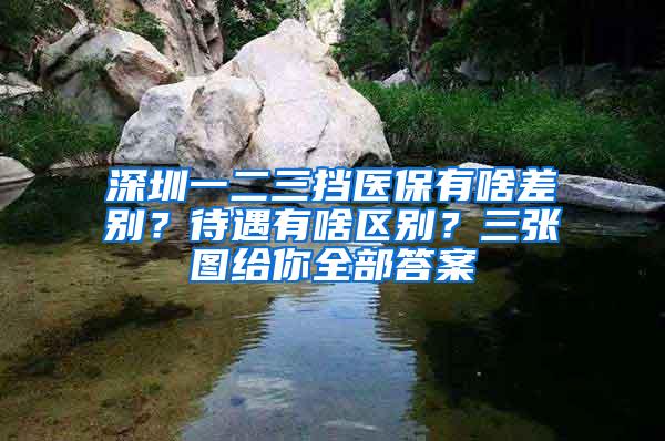 深圳一二三挡医保有啥差别?待遇有啥区别?三张图给你全部答案