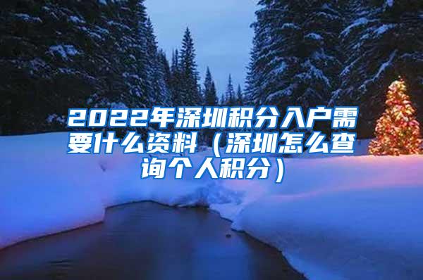 2022年深圳积分入户需要什么资料（深圳怎么查询个人积分）